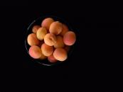 apricots.jpg