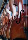 violins3.jpg